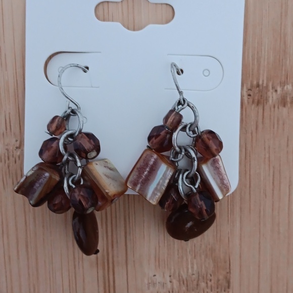 Multi Colored Brown Stone/Glass Dangle Earrings - Picture 7 of 9